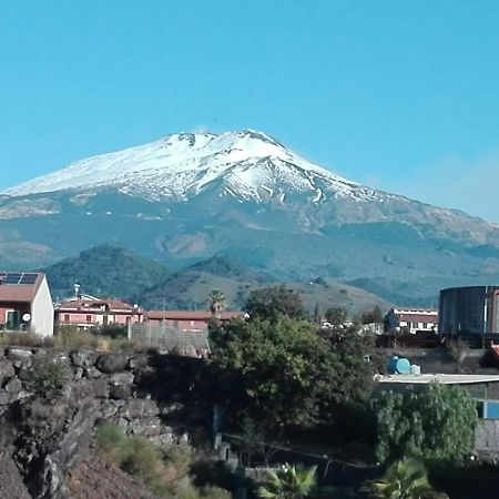 B&B Villa Salome' San Pietro Clarenza ภายนอก รูปภาพ
